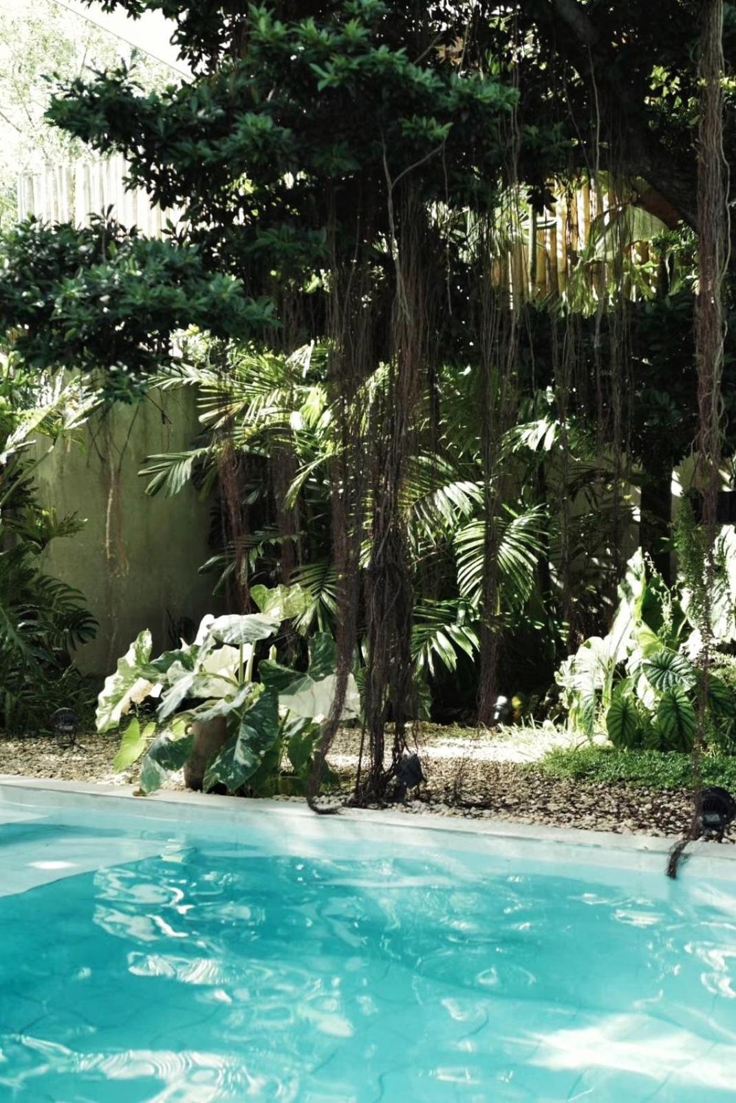 Banyan Villa Panglao With Private Pool Luaran gambar